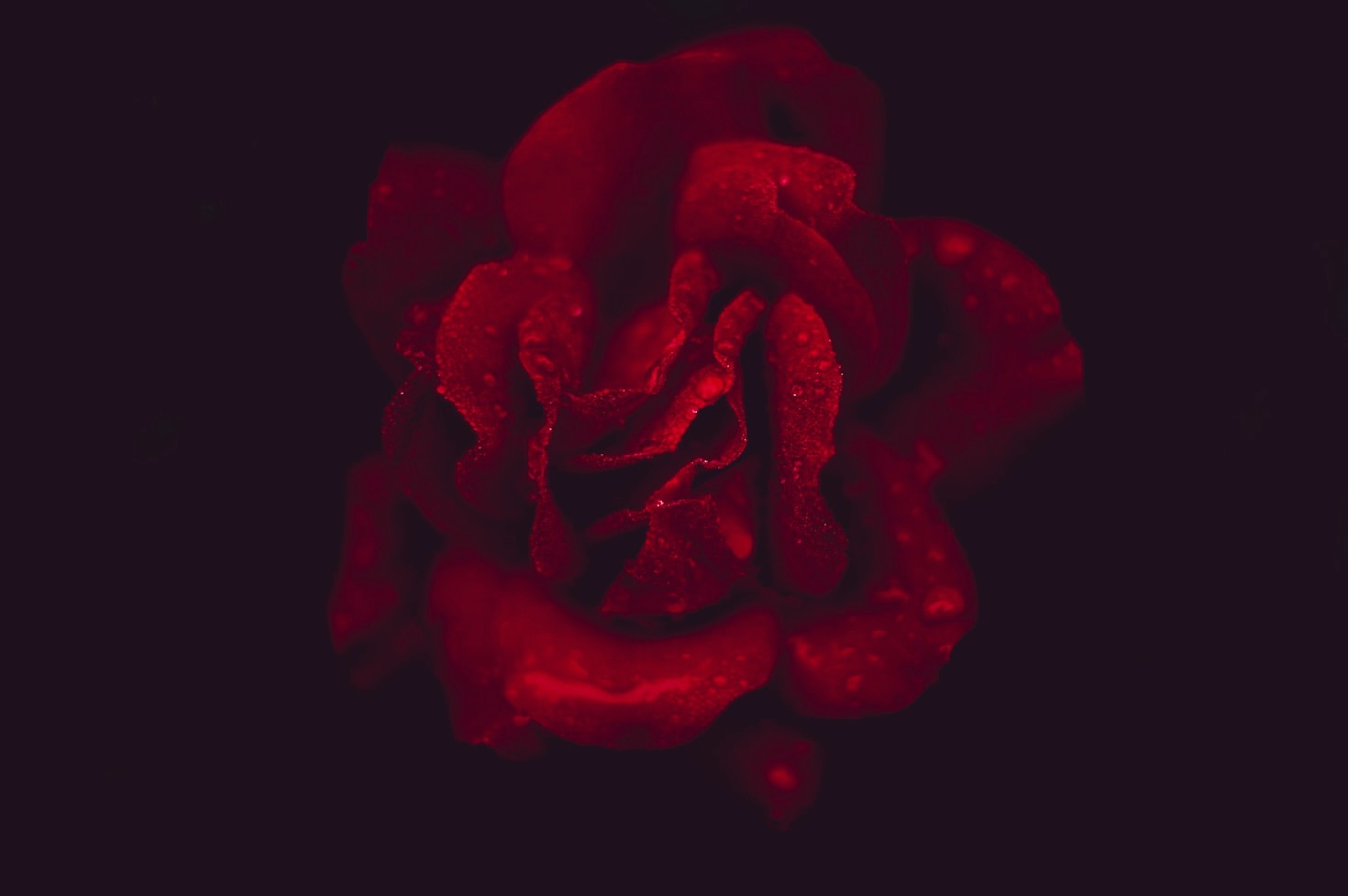 Unveiling the Darkness in Modern Poetry