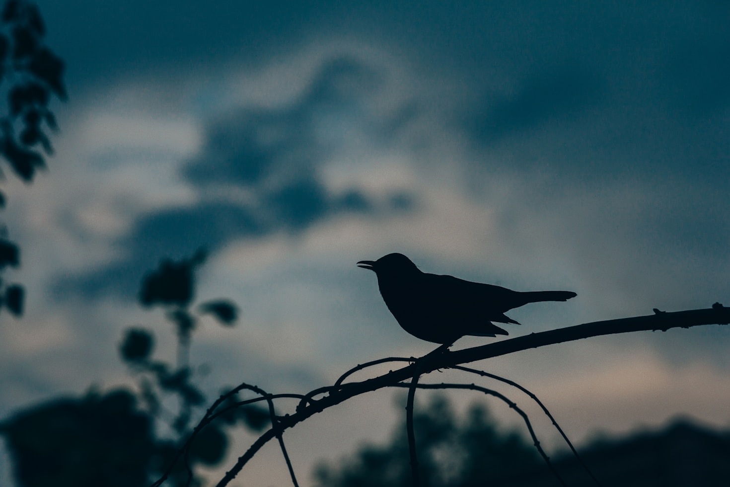 Understanding Longing in Contemporary Poetry